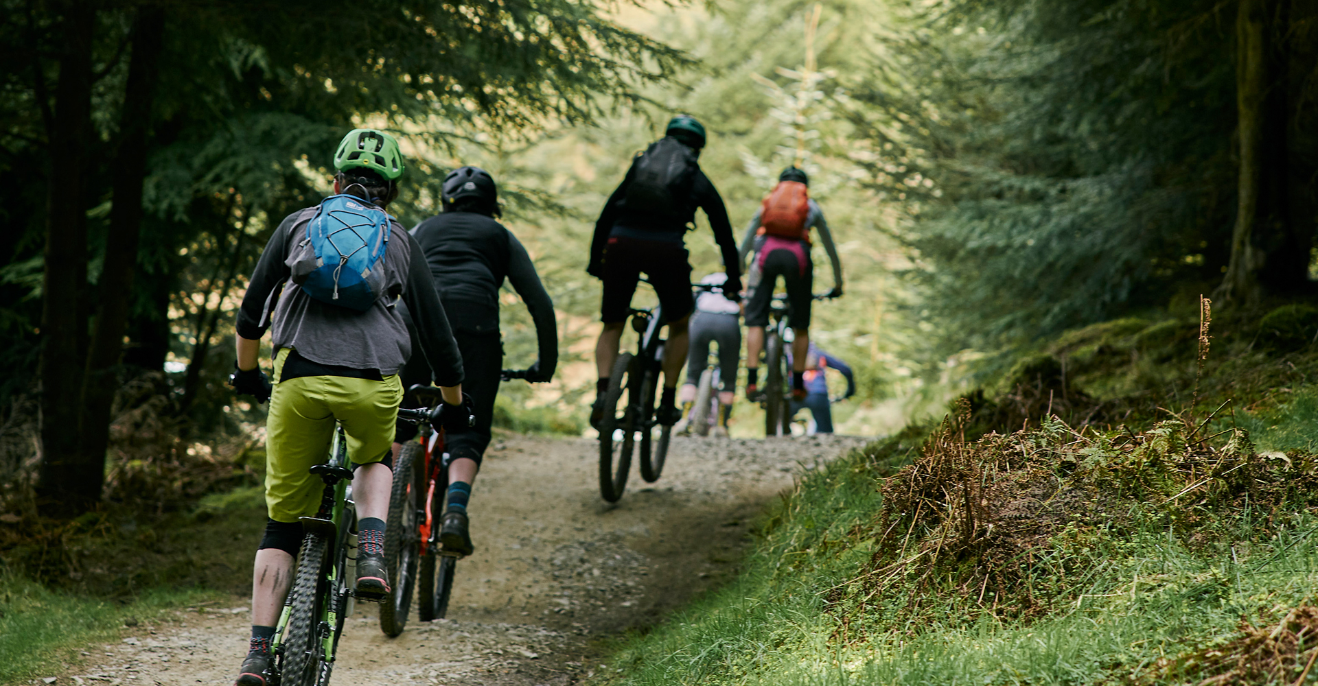 Un groupe de cyclistes progressant ensemble sur un sentier forestier
