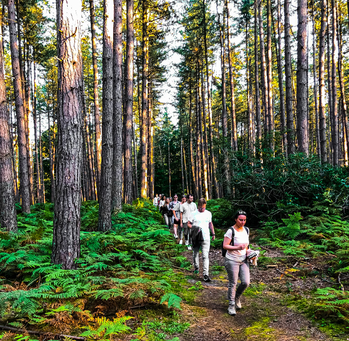 Participants avançant ensemble sur un sentier forestier pendant une expérience de groupe.