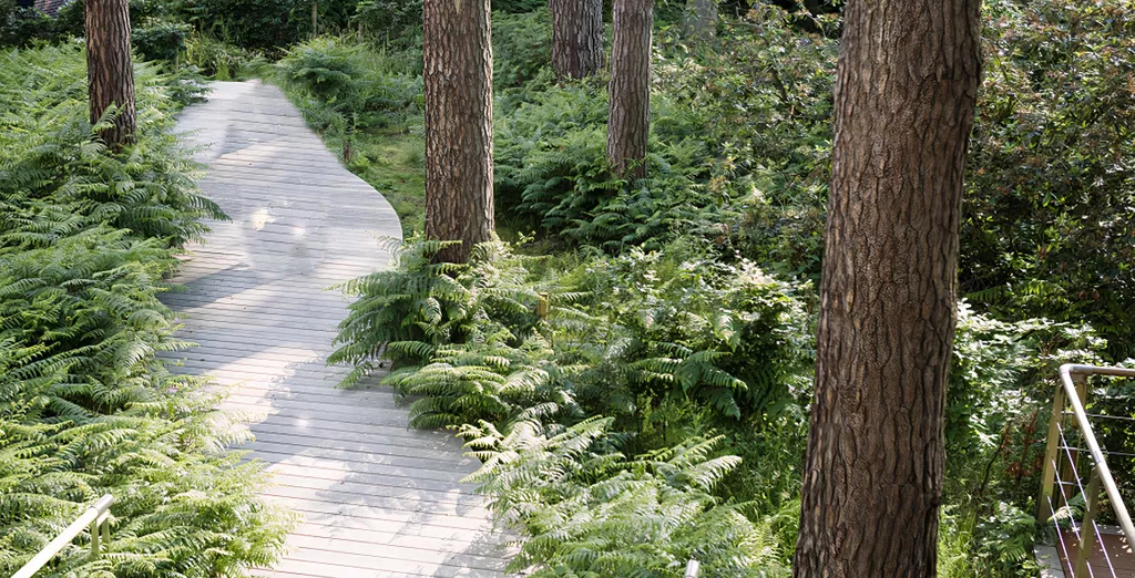 Sentier en bois traversant la forêt de Soignes