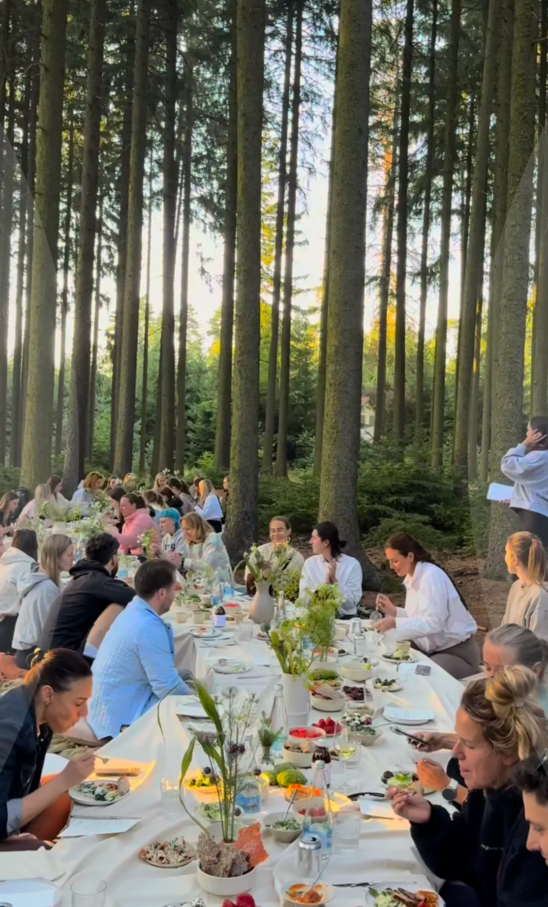 Un long repas partagé en pleine forêt lors d'une fête du personnel